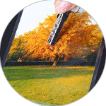 Cold Lamination Film